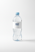Agua botella 16.9 fl OZ 500ml